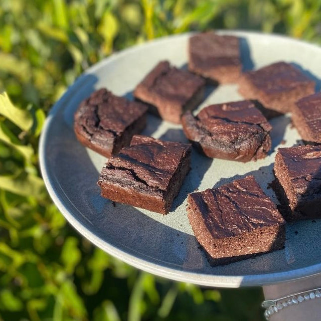 Vegan Chocolate Protein Brownies